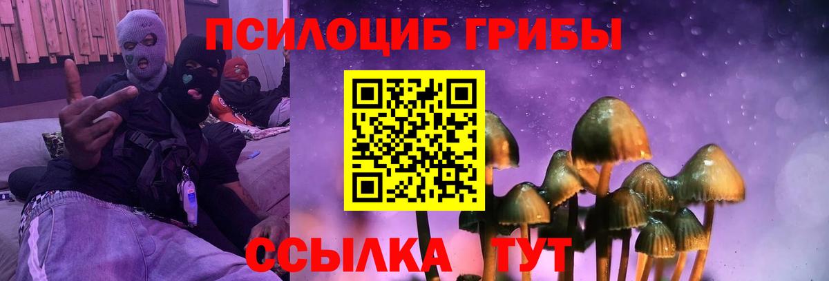 Псилоцибиновые грибы мицелий  Псилоцибиновые грибы мухоморы  Вход с VPN  Ростов Великий 